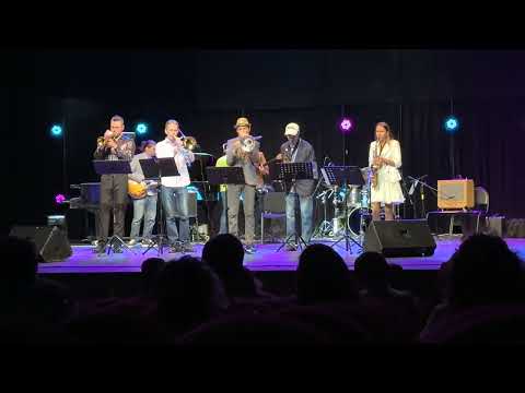 Radost Orchestra — Live Showcase